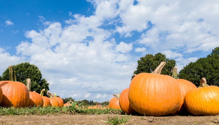 2018-10-09-Out Here_101