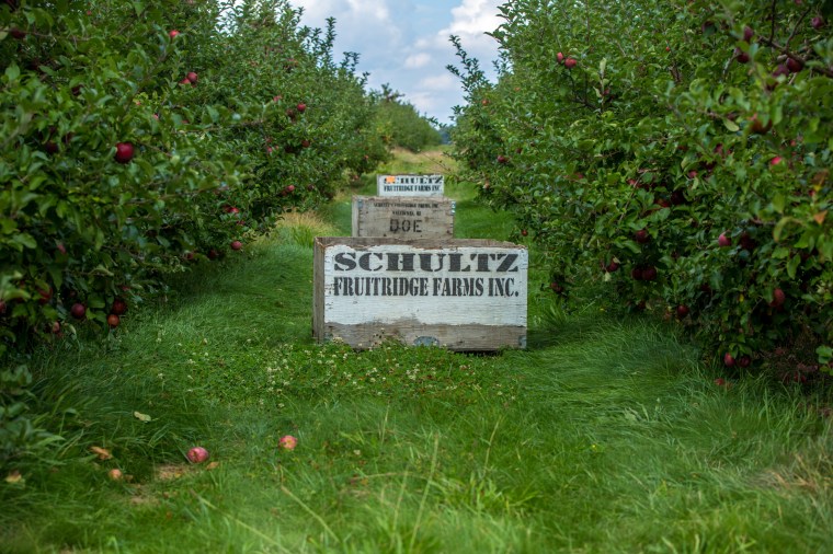 Orchards