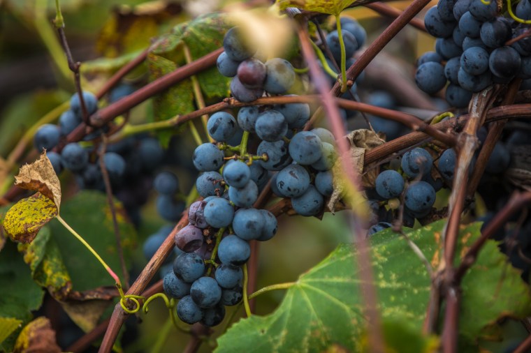 2018-10-09-Out Here_124