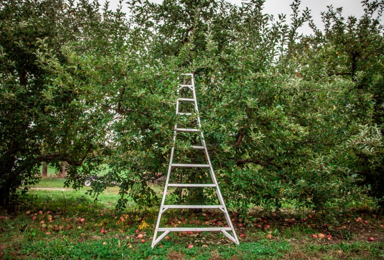 2018-10-12-Out Here_223