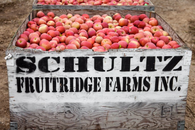 2018-10-12-Out Here_230